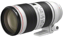 Canon EF16 35 4IS