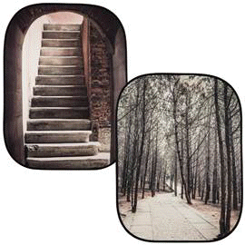 Lastolite LL5740 StoneSteps WinterTrees