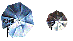 reversibleumbrellas main 