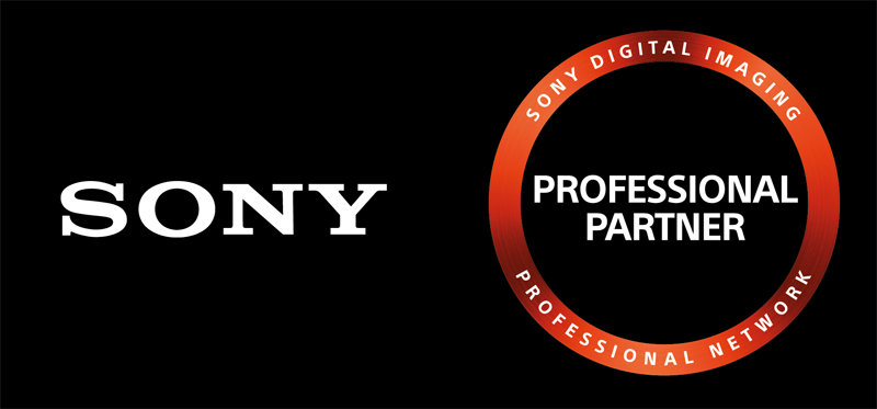 Sony SDS Logo 112017