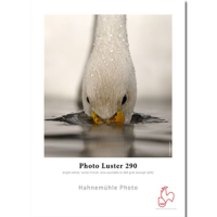 HA-10643152-Photo-Luster290g