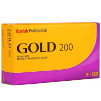 KodakGold120-5