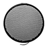SMDV-WB-175