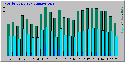 Hourly usage for January 2026